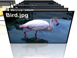 Click to enlarge (3D Picture Browser screenshot)